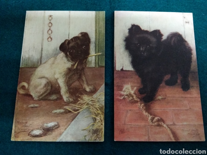 Postales: 2 POSTALES RAPHAEL TUCK & SONS OILETTE PET DOGS SERIE II .- PERROS