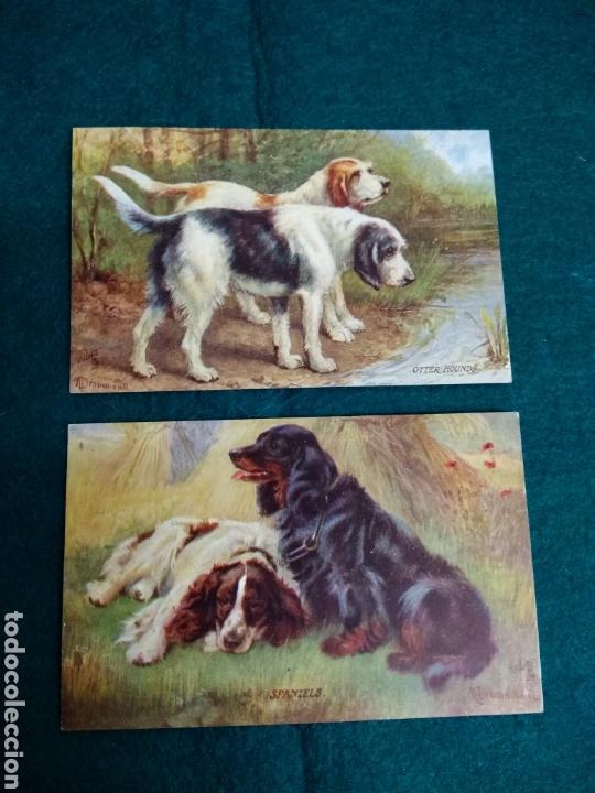 Postales: 2 POSTALES RAPHAEL TUKC & SONS OILETTE .- FAVOURITE DOGS N&ordm; 3046