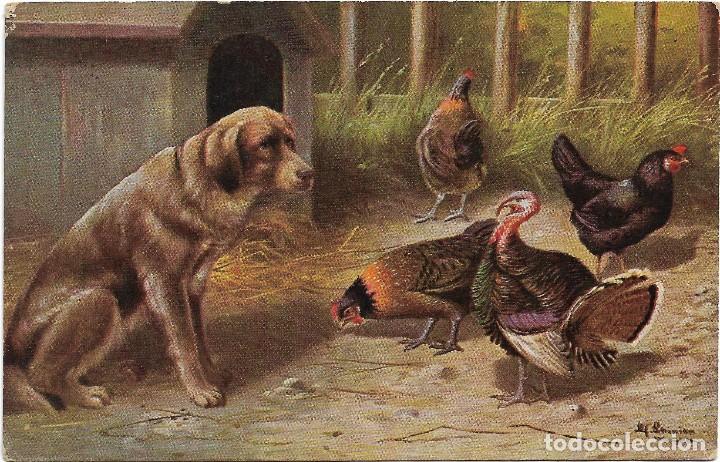 Postales: POSTAL RAPHAEL TUCK & SONS .- OILETTE N&ordm; 3532 FARM YARD FRIENDS