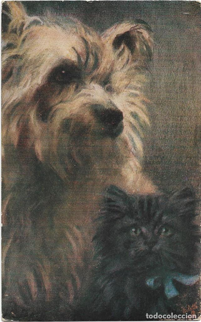 Postales: POSTAL RAPHAEL TUCK & SONS .- OILETTE N&ordm; 9642  PET DOGS
