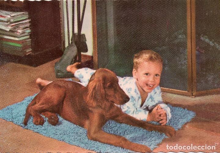 Postales: ANTIGUA POSTAL DE NI&Ntilde;O JUNTO A SU PERRO EDICIONES CYZ