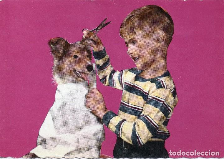 Postales: ANTIGUA POSTAL DE NI&Ntilde;O JUNTO A SU PERRO EDICIONES CYZ