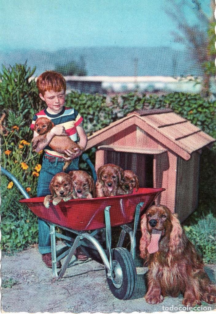 Postales: ANTIGUA POSTAL DE NI&Ntilde;O JUNTO A SU PERRO Y CACHORROS EDICIONES CYZ