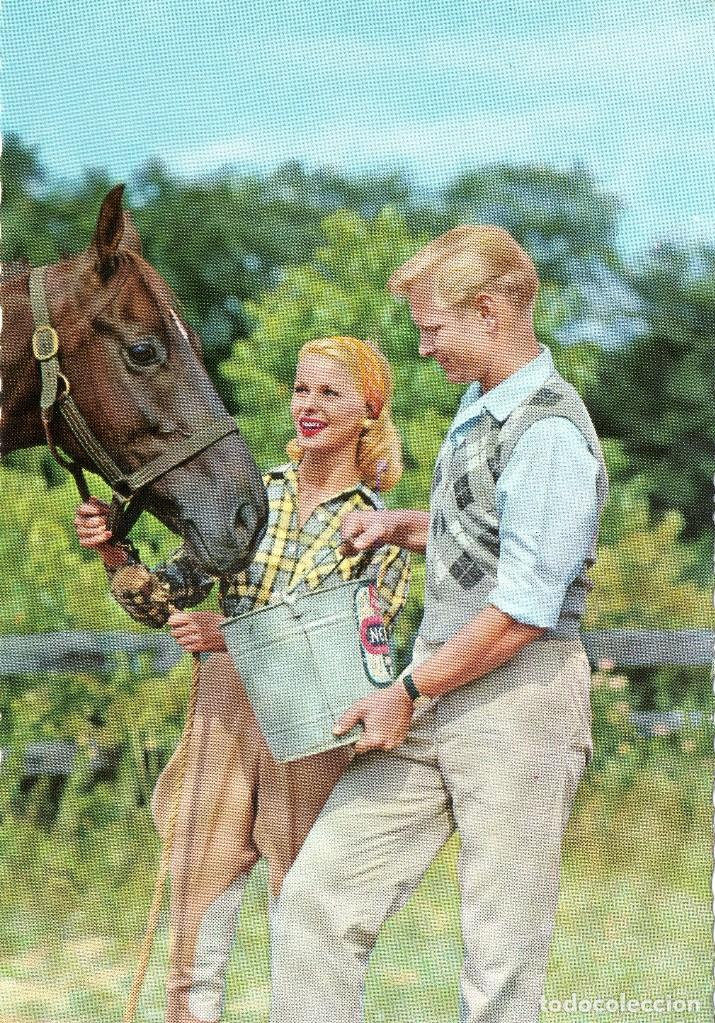 Postales: ANTIGUA POSTAL DE PAREJA DANDO DE COMER A UN CABALLO CYZ