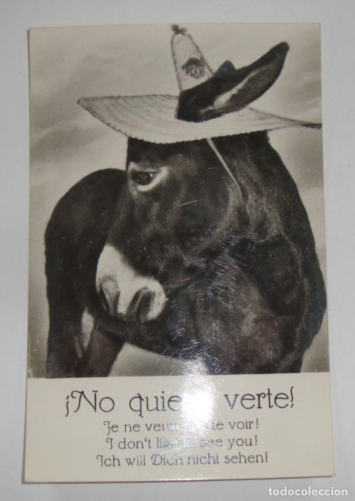 Postales: (ALB-TC-14) CURIOSA POSTAL SIN CIRCULAR NUEVA TEMA BURRO BURROS NO QUIERO VERTE