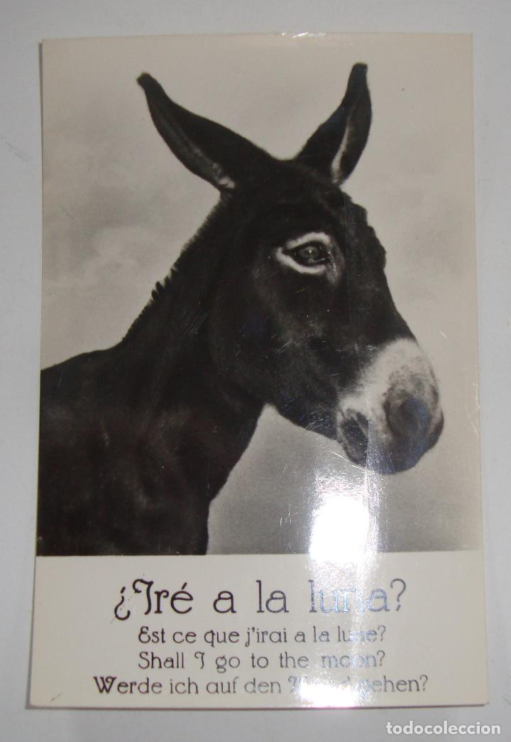 Postales: (ALB-TC-14) CURIOSA POSTAL SIN CIRCULAR NUEVA TEMA BURRO BURROS IRE A LA LUNA