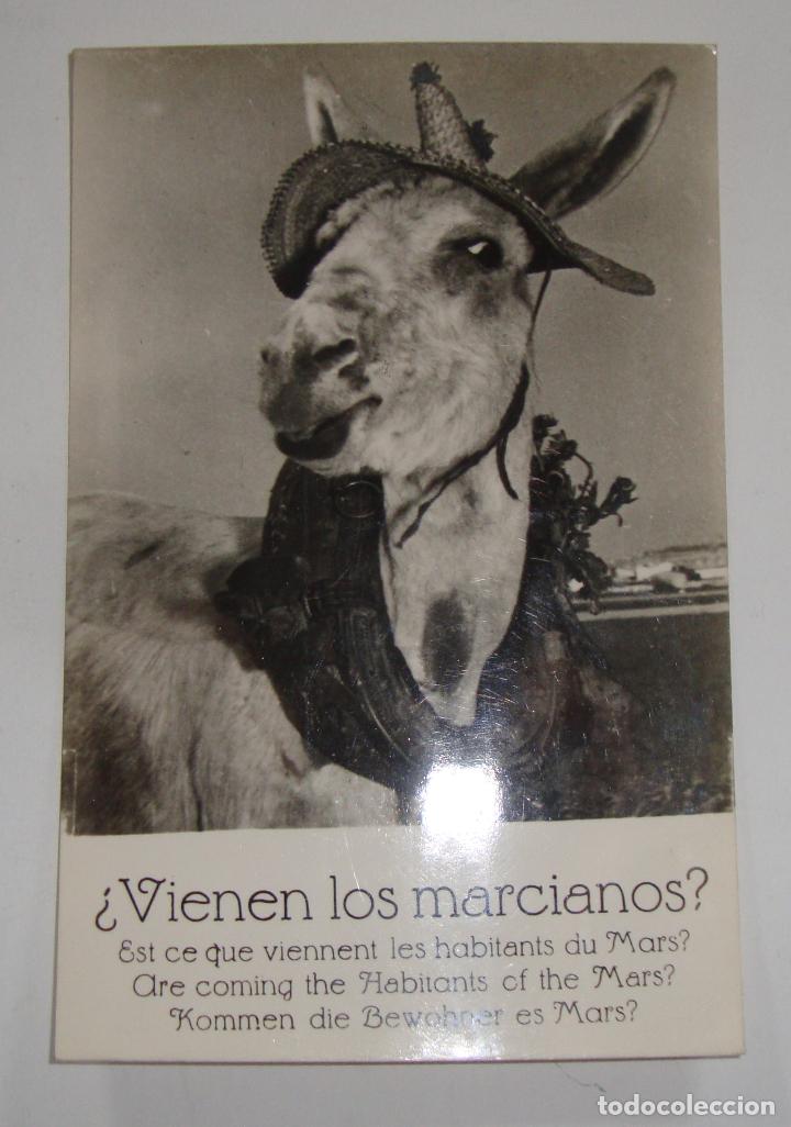 Postales: (ALB-TC-14) CURIOSA POSTAL SIN CIRCULAR NUEVA TEMA BURRO BURROS VIENEN LOS MARCIANOS