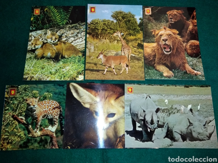 Postales: 6 POSTALES EDICIONES FISA / ESCUDO DE ORO SERIE ANIMALES SALVAJES