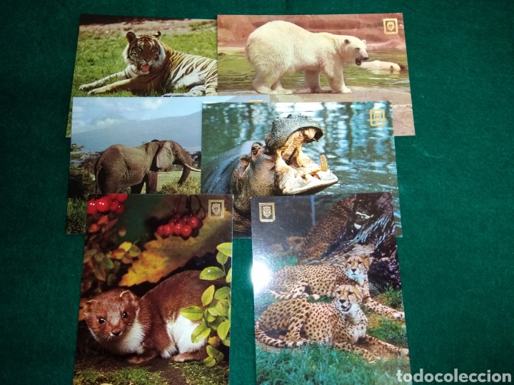 Postales: 6 POSTALES EDICIONES FISA / ESCUDO DE ORO SERIE ANIMALES SALVAJES
