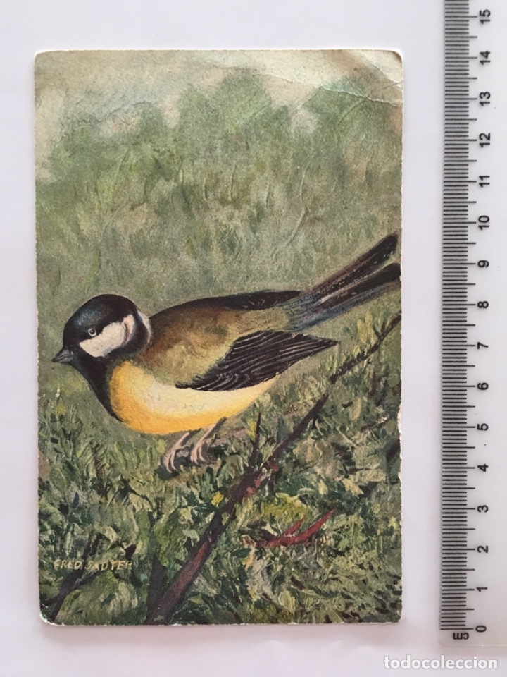 Postales: POSTAL. P&Aacute;JAROS. IMPRIME EN SUISSE. H. 1920?