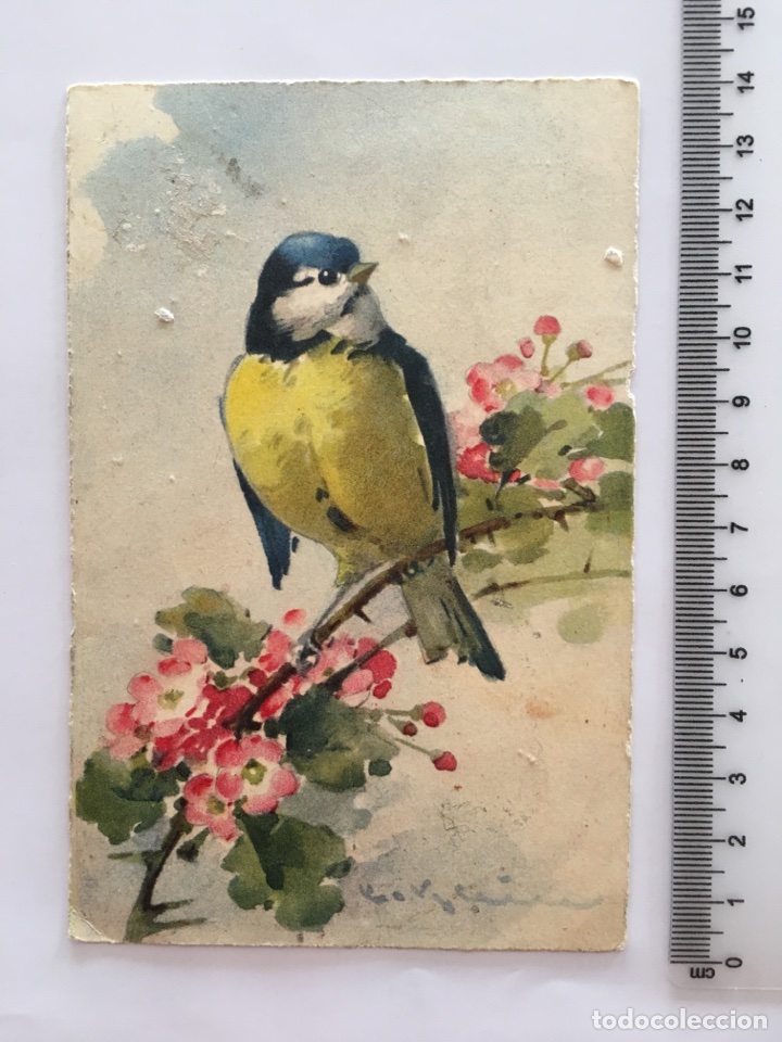 Postales: POSTAL. P&Aacute;JAROS. IMPRIME EN SUISSE. H. 1920?