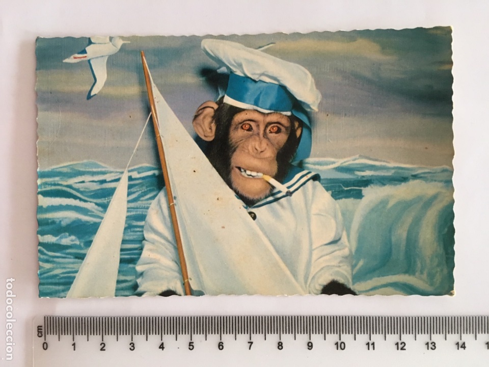 Postales: POSTAL. ANIMALES. Imprime en SUISSE. H. 1960?