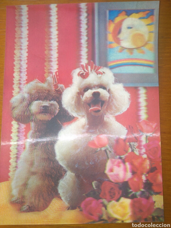Postales: POSTAL 3D TOPPAN TOP STEREO, JAP&Oacute;N. PERROS POODLES