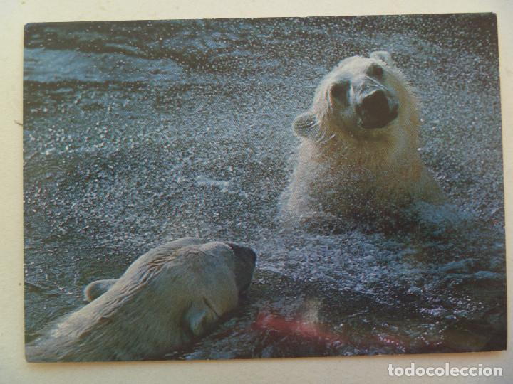Postales: POSTAL DE FINLANDIA CON OSOS POLARES . ESCRITA EN 1976