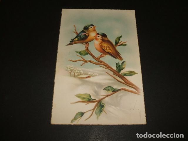 Postales: PAJAROS POSTAL ILUSTRADA - Foto 1
