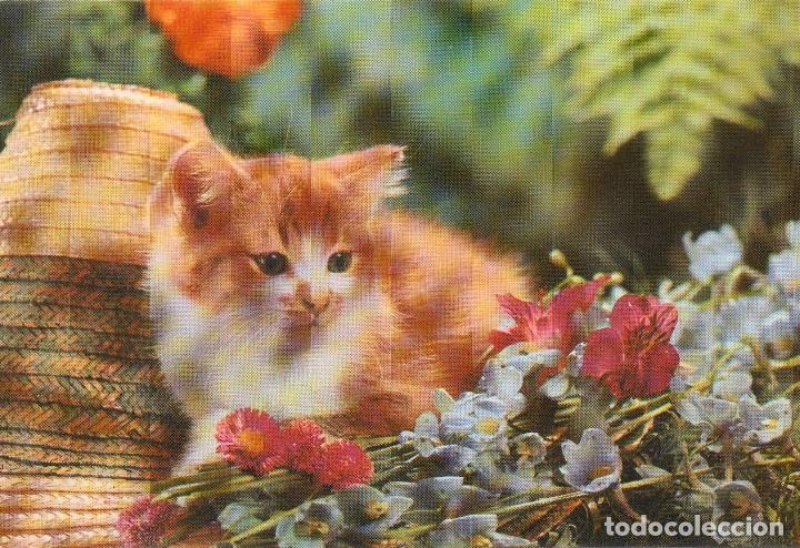 Postales: POSTAL EDITADA POR CYZ DE UN GATO  JUNTO A UN RAMO DE FLORES