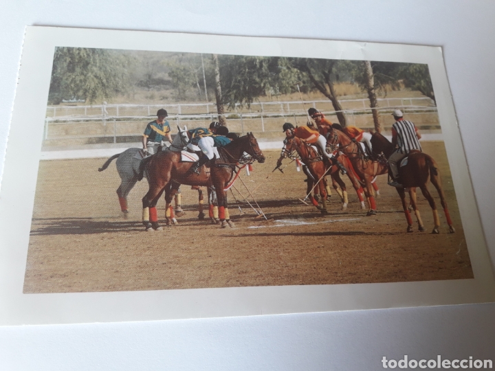 Cartes Postales: Caballos polo Udaipur Shikarbadi hotel rajasthan inaia