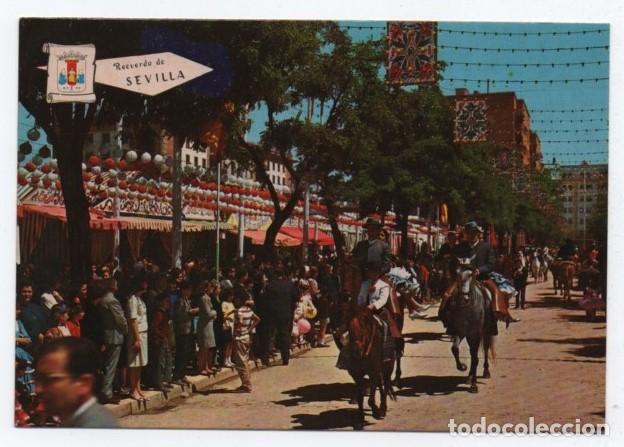 Cartes Postales: (ALB-TC-23) POSTAL TEMA CABALLOS CABALLO ESCRITA