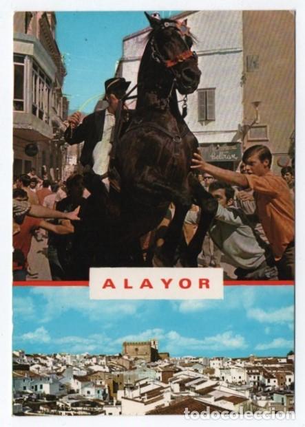 Cartes Postales: (ALB-TC-23) POSTAL TEMA CABALLOS CABALLO NUEVA