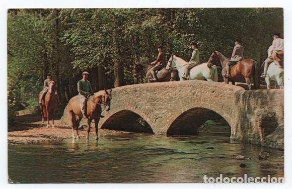 Postais: (ALB-TC-23) POSTAL TEMA CABALLOS CABALLO NUEVA