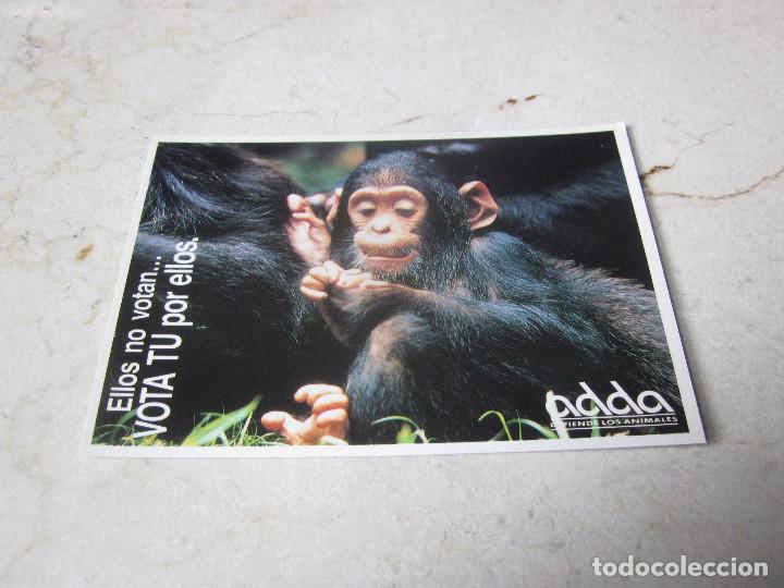Postais: POSTAL ADDA ELLOS NO VOTAN ... VOTA TU POR ELLOS