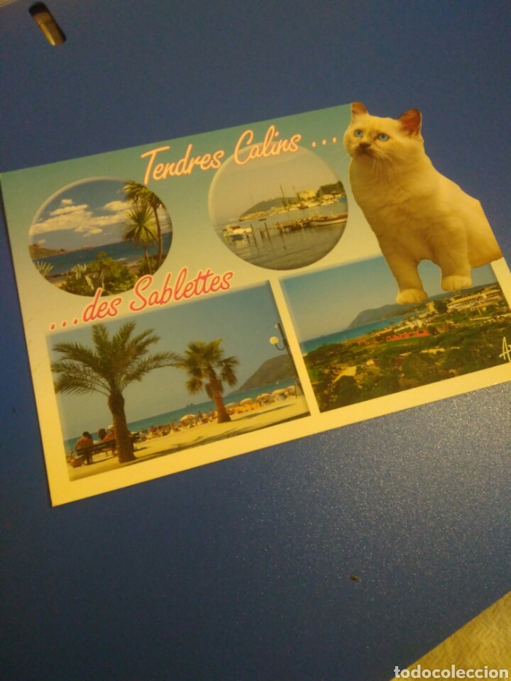 Postales: BONITA POSTAL TENDRES CALIS DES SABLETTES