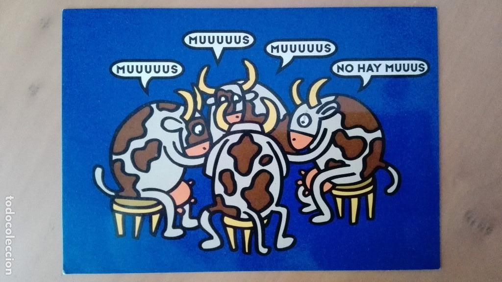 Postais: POSTAL HUMORISTICA KUKUXUMUSU ANIMALES TOROS VACAS MUUUUS TEMA HUMOR PERFECTA CONSERVACION