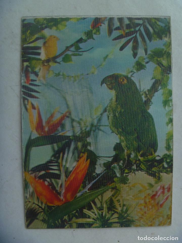 Postkarten: POSTAL DE PAJAROS, LORO Y CANARIO . TIPO VISIORAMA : SE MUEVE. . 3 D. A&Ntilde;OS 60