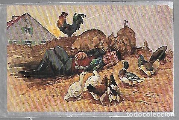 Postais: TARJETA POSTAL. ANIMALES. HOMBRE DORMIDO ENTRE CERDOS, PATOS Y GALLO A LA SALIDA DEL SOL