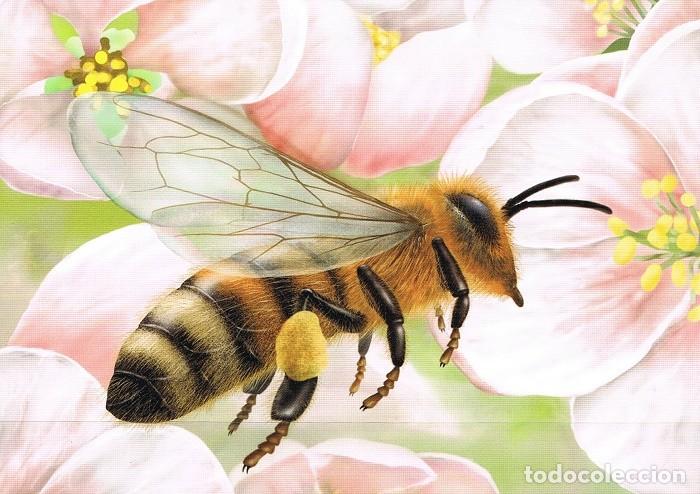 Postcards: [CF4238a] Aland 2018, Tarjeta Postal Apicultura (NS)