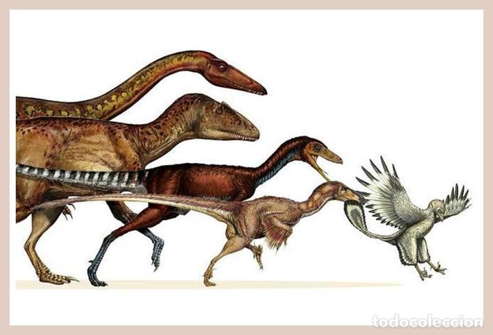 Postais: DINOSAURIOS POSTAL 3