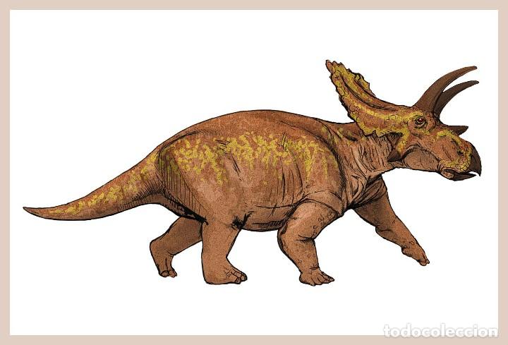 Postcards: DINOSAURIOS POSTAL 5