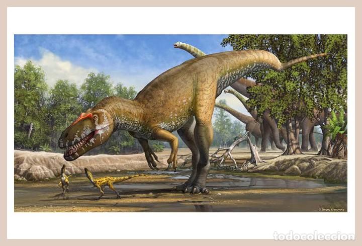Postcards: DINOSAURIOS POSTAL 8