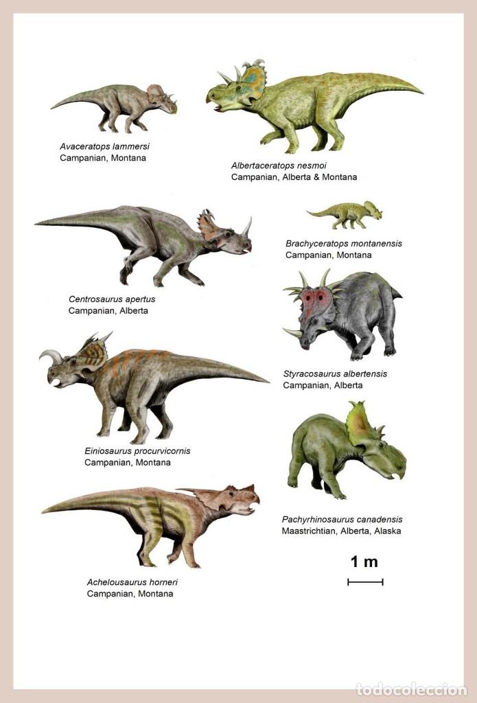 Postcards: DINOSAURIOS POSTAL 9