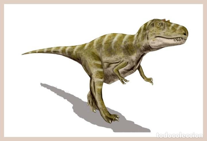 Postais: DINOSAURIOS POSTAL 11
