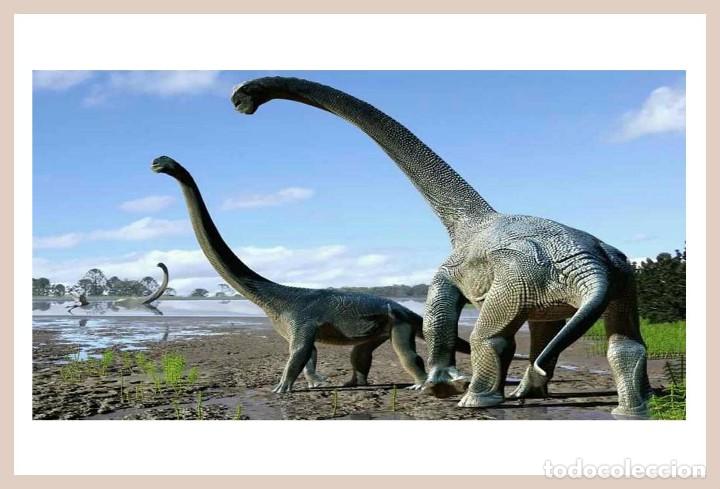 Postcards: DINOSAURIOS POSTAL 13