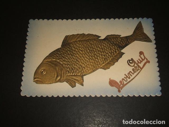 Postales: PEZ EN RELIEVE POSTAL - Foto 1