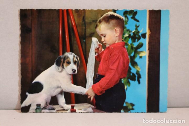Cartes Postales: Postal Ni&ntilde;o curando al perrito Barcelona-( C y Z) 1966/ Circulada/ Buen estado
