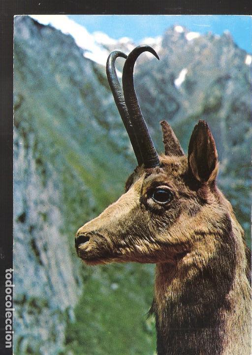 Postales: Rebeco. - Foto 1