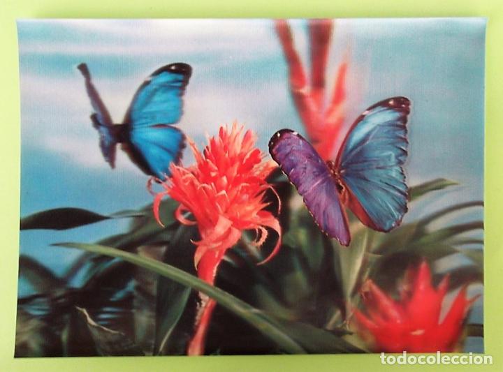 Postais: Mariposas y flor en 3 dimensiones. Usada. Color