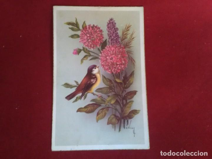Postales: Original y bonita postal de ave y flores ediciones cyz ilustraci&oacute;n c.Vives