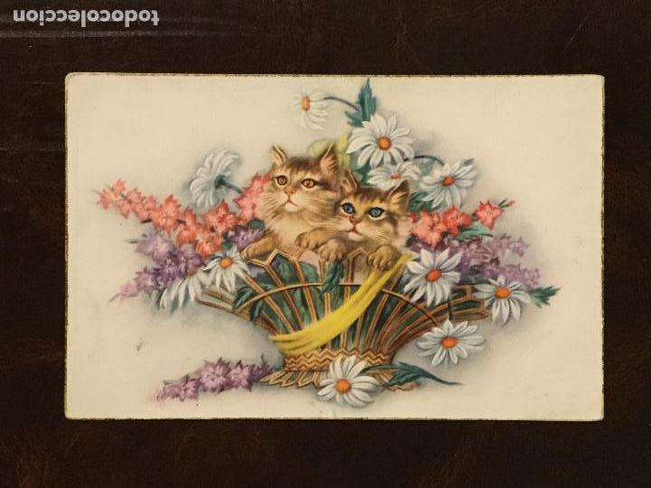 Postales: POSTAL GATOS CON FLORES. CYZ 504/A. ESCRITA 1954.