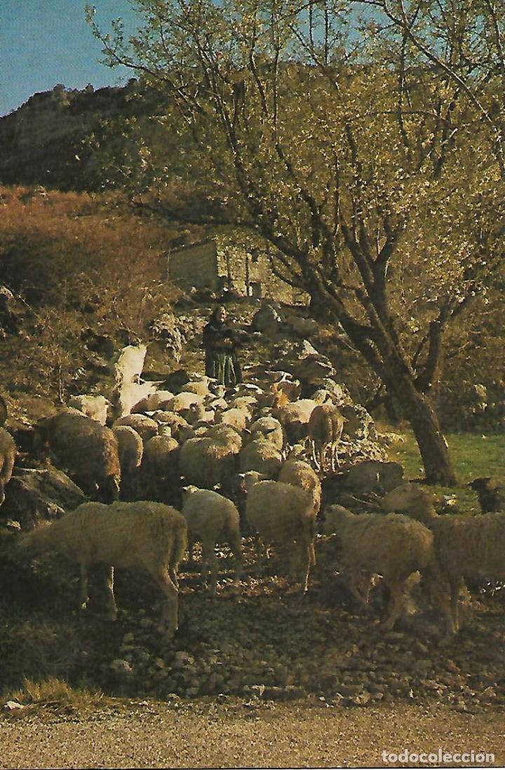 Postales: FRANCIA - PARTIDA DEL REBA&Ntilde;O (Ver dorso)