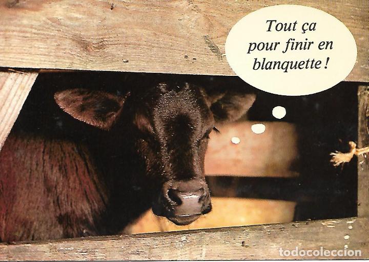 Postales: TOUT &Ccedil;A POUR FINIR EN BLANQUETTE