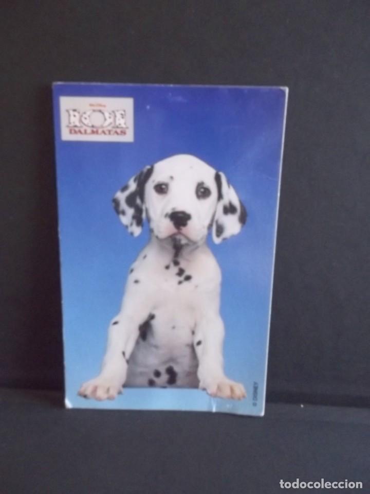 Postales: POSTAL 101 DALMATAS-PERRITO - Foto 3