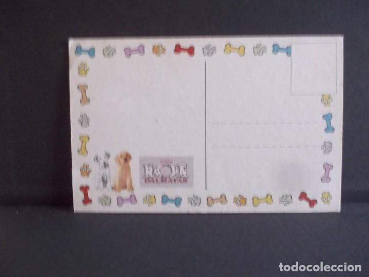Postales: POSTAL 101 DALMATAS-PERRITOS - Foto 2