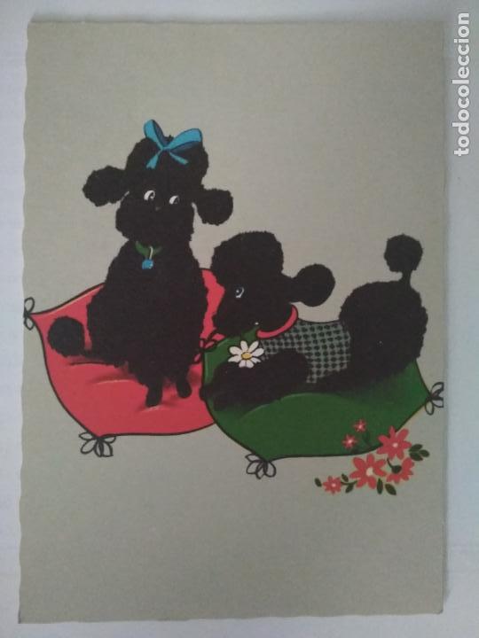 Cartes Postales: POSTAL DOS PERRITOS, ESCRITA A&Ntilde;OS 60