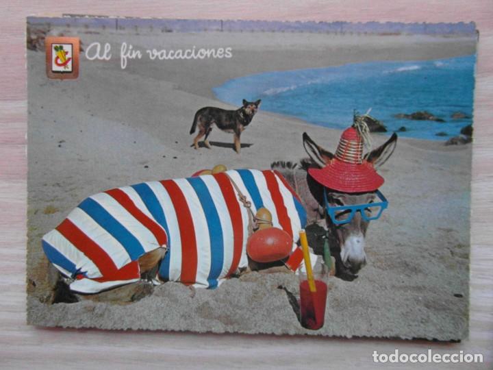 Postcards: Postal serie animales comicos n&ordm; 1. Burro en la playa. Escrita. Sin sello. Ediciones Fisa