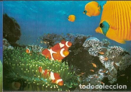 Cartes Postales: Portugal  ** & Intero,Expo 98 Oceanario, Vida Marina 1998 (3421)