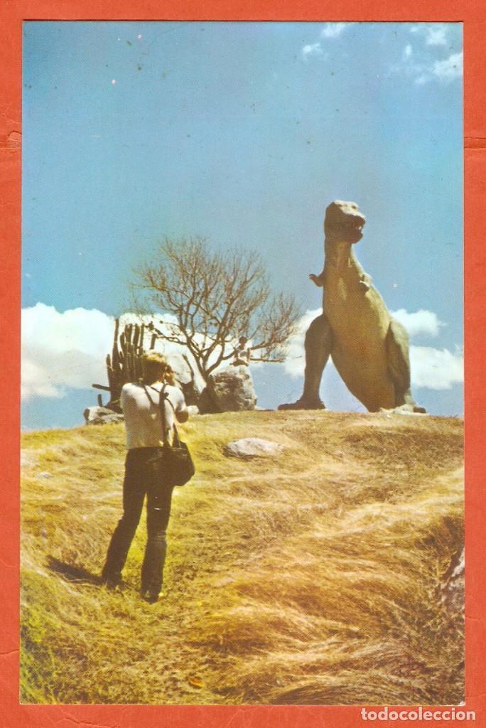 Postcards: 1 POSTAL DE SANTIAGO DE CUBA - ANIMALES / FAUNA - DINOSAURIO - VER FOTO REVERSO